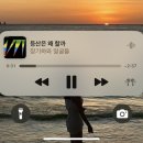 백록담 | 🍊제주 :: 6월 성판악 체력거지의 한라산 등산 후기 - 백록담은 멋있어 🗻🤩