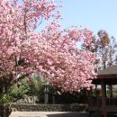 선흘1리낙선동경로당 이미지