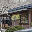 항아리동치미국수 | 2026년 04월 12일/원조항아리동치미국수