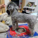 썸데이제로 이미지