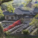 의료법인 효심의료재단 이미지