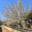 군청앞 창의건축사 앞 | 전남 영암 테마 여행 영암 미식 &amp; 아트 시크릿 트립