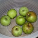 도촌농장 이미지