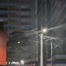 하얀눈온당❄️ 이미지
