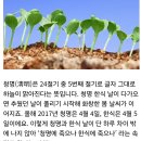 한식청명