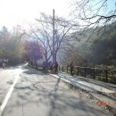 중앙동122 이미지