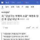 태영호 "강남구는 부패의 소굴" 이미지