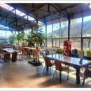 토브하르 이미지