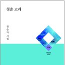 청춘갈매기 이미지