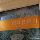 12/14(일)＜로마제국의 도시문화와 폼페이＞전시회 국립중앙박물관 기획전시실에 다녀왔어요 이미지