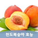 천도한의원 네이버블로그