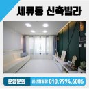 세류동 현대아파트앞 네이버블로그