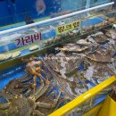 은하축산 이미지