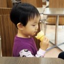 아이스크리미 - 용인시 기흥구 강남서로68번길 3-9 | 아이스크리미
