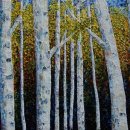 자작나무 이미지