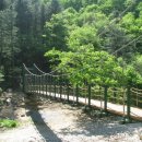 에일메디칼 이미지