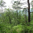 황우목장 이미지