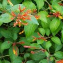 강남-204 이미지