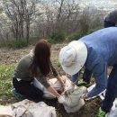 160408(금) 100개숲,seedbank,히오키코리아 이미지