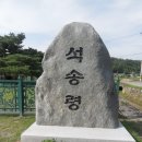 예천 천향리 석송령(石松靈), 놀랍다 이미지