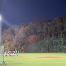 배나물야구장 이미지