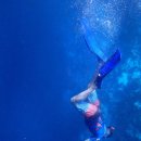 바다호프 이미지