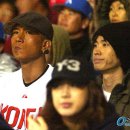 펫코