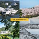 매그놀리아