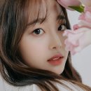 싸인츄 이미지