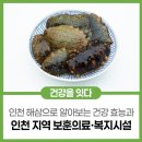한국보훈복지의료공단 인천보훈병원 | 팔도여행] 인천 바다의 인삼, 해삼으로 알아보는 건강 효능과 인천 지역 보훈 의료·복지시설 한눈에 보기