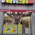 개밥파는고양이검암점