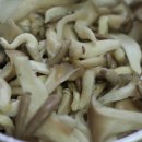 [조림] 간편하고 맛있는 느타리버섯 두부조림.. 이미지