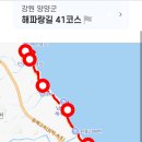 해파랑길 41코스 티스토리
