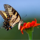 오존사이언스 이미지