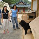 이쁜멍멍이 이미지