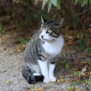 용산축산 이미지