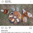 Groov Jeju 네이버블로그
