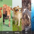 (주)대성미생물연구소 이미지