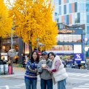 살림이 편해지는 정리정돈 | 『살림의 책』 저자들과 함께한 2025년의 올해 마지막 정주는 운줍깅 기록