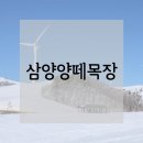 영기목장 | [아기랑 강원도 여행] 삼양목장에서 눈썰매타기