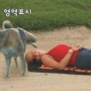 심심풀이 이미지