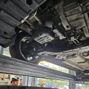 비비게러지 이미지