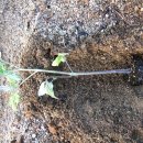 진상순농장 이미지