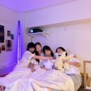 중산 태권도 | [주간 일기] 여름한 시원 밤