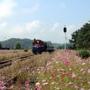 고향역