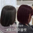 상남동242 | 창원상남동미용실 비비엔느헤어 창원상남점에서 완성한 내 스타일 후기