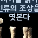 이미지덴탈 이미지