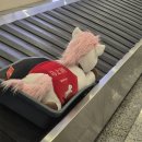 김밥사랑청구점 | 3월 중국 상하이, 4박 5일 - 大 Yummy