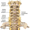 [석계역] 이명(Tinnitus: 귀울림) 원인부터 치료까지, 귀에서 삐 소리 나는 이유 연세다...