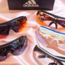 윤선생안경원 이미지